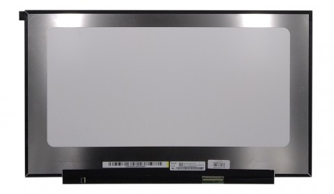 LCD 17.3" (1920x1080) FULL HD, IPS, 144Hz 40pin matinis klijuojamas