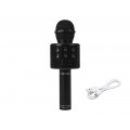 Bevielis mikrofonas su kolonėle juodas (black) Blow PRM402