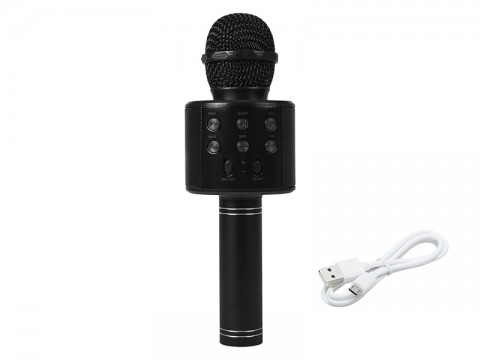 Bevielis mikrofonas su kolonėle juodas (black) Blow PRM402
