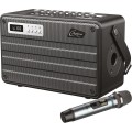 Garso sistema nešiojama 2x4" (2x10cm) 60W USB, Bluetooth, su UHF mikrofonu, karaoke ROADY FL Combo C. Perkins 