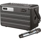 Garso sistema nešiojama 2x4" (2x10cm) 60W USB, Bluetooth, su UHF mikrofonu, karaoke ROADY FL Combo C. Perkins 