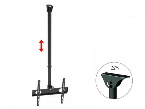 Laikiklis TV (lubinis) 32-55", 50kg Maclean MC-631